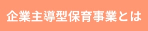 企業主導型保育事業とは